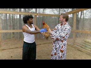 Matt Mathews Teaches Funny Marco Where Chickens Come From | Farm Chores With Matt