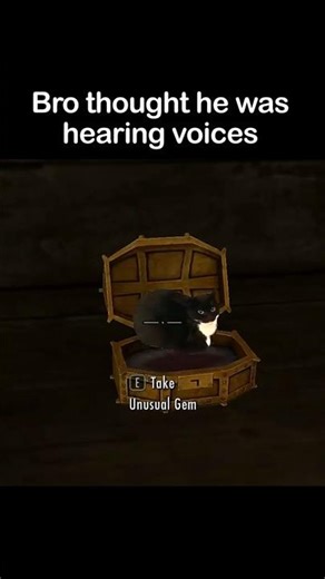 OIIA cat in Skyrim?? 🙀
