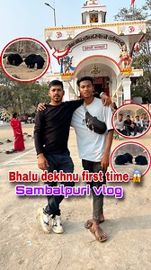 464K views · 15K reactions | First time bhalu dekhnu|| Sambalpuri mini vlog @alok_khamari_vlogs #sambalpuri #cycleyatra #viralvideos #trendingreels #sambalpurireelss #alokkhamariofficial #viral #sambalpurivideo #allindiacycleyatra #minivlog #shortvlog #viralminivlog #sambalpuriminivlog #sambalpuriminivlogvideo #sambalpuriminivlog #bhalu #cycleride #explorepage | Khamari Babu Vlogs | Facebook