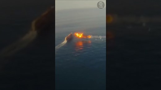 15M views · 10K reactions | Pigeons vs. Tomahawk Missile | Not What You Think | Facebook