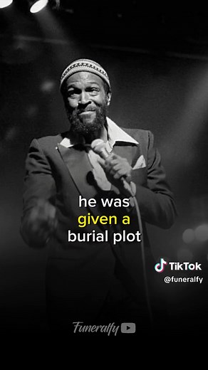 How Marvin Gaye died. #howtheydied #marvingaye #marvingayedeath #funeralfy #killedbyfather #gayedeath #marvingayechallenge #marvingayecover