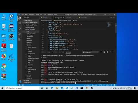 npm error No test specified && exit 1 In Web Driver IO Resolved
