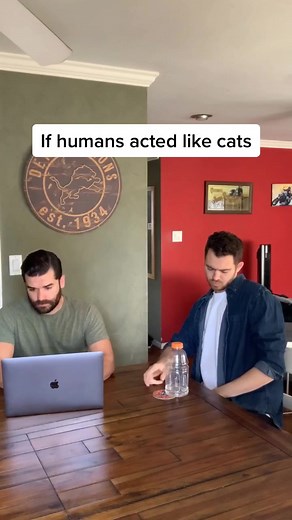 Humans Acting Like Cats | Funny TikTok Compilation