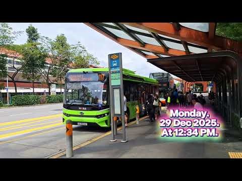 SG3234K Sv 117. Depart Opp Yishun MRT Stn. BYD BC12A04. SD (3-Door) Electric Bus. SG❤️BUS. 29/12/25.