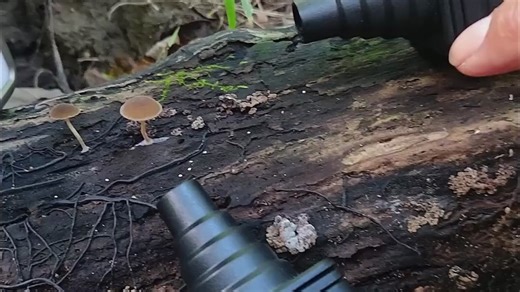 微距摄影的补光也太细致了