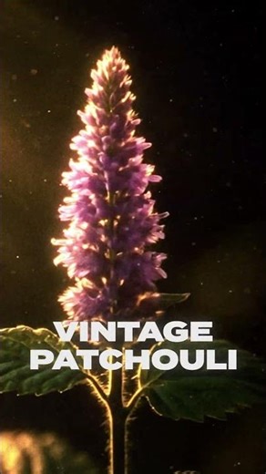 It commands attention. It draws the spotlight. It’s Hands Off.