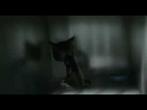 Bolt Animal Rescue scene