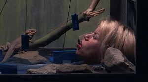 416K views · 716 reactions | Lekker happen naar reptielen! 藍藍 Code van Coppens zie je om 20.30. | SBS 6 | Facebook