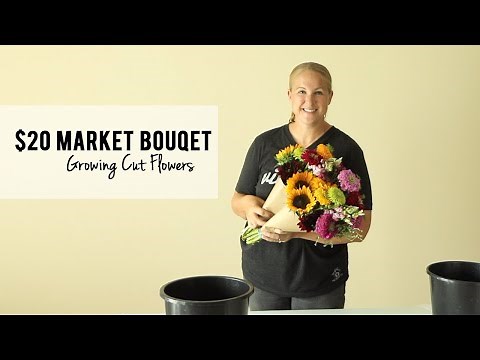Making a $20 Market Bouquet : Cut Flower Farming, Sunshine and Flora