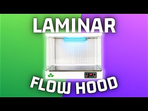 Laminar Flow Hood | EXPLAINED!