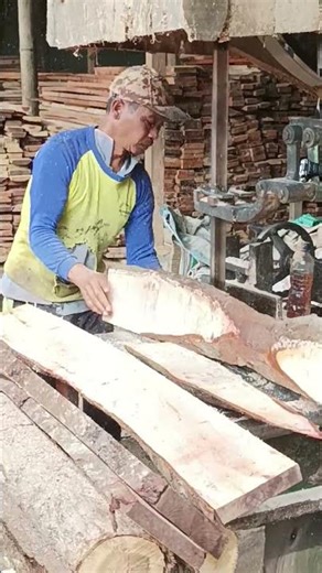 Big Log Cutting – So Clean and Precise! #industrialprocess #wood #wheelsaw