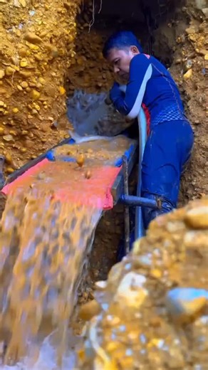 Golden Doodle vs. Golden Retriever: Key Differences