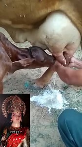 31K views · 1.3K reactions | #viral #reels ️ #durgapuja #mata #durga #जय #devotion #mahakali #devotional #viral #reels ️ #durgapuja #mata #durga #जय #devotion #mahakali #devotional #lord #spiritual #art #india #religion #quotes #bhfyp #meditation #wisdom #music #deus #photography #scripture #hindu #trust #o #nature #biblestudy #happy #happiness #soul #follow #krishna #amor #jesuslovesyou #jesussaves #family #godislove #like #mahadev | Pooja | Facebook