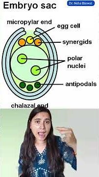 "Embryo sac simplified 👉 7 cells, 8 nuclei 💡 Remember: by this trick 🐜🌿 #BioTrick" #neet #botany