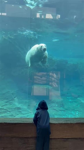 Ashley Witt Long on Reels