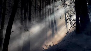 The rash of mega-fires in recent years has stunned Californians. But one astonishing fact stands out amid the devastation: Even more of the California landscape used to be on fire. Before the 1800s, at least 4.5 million acres — sometimes up to 12 million — burned in the state annually, according to UC Berkeley researchers. See the link in bio for full story. 📹: @gabrielleluriephoto | San Francisco Chronicle