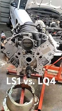 LS1 vs. LQ4. What's the difference? #engineswaps #engineblock #lsswap #ls1 #lq4 #automobile
