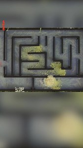 Kann ein gefräßiger Organismus ohne Gehirn zu intelligenten Entscheidungen fähig sein? | Arte