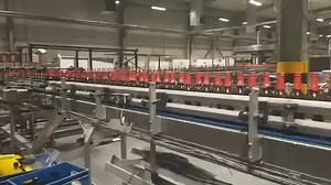 The Cluster Packaging Machine also called Cluster Packer or Cluster Machine, is a high-speed packaging solution realizing multipack by cardboard or paperboard glued in the upper part through the use of robotized stations. Machine model: TFP-CPM-180 Packing format: 2x2; 2x3; 2x4; 3x4 Machine capacity: Max180 packs/min Applications: Bottles/Cans/Cups Configuration: Siemens Sew Nordson Schneider #cluster#packer#casepacker#packagingmachine Youtube: https://www.youtube.com/@techflowpack2008 | Techflo