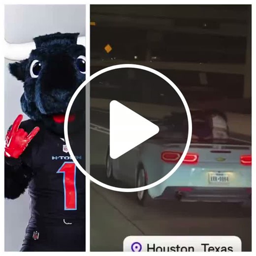 Houston, Texas is a movie right now! Over 2.2 MILLION people are there for the Rodeo, Spring Break & partying - NewsBreak