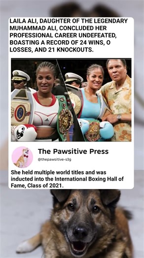 Like Father, Like Daughter: The Legend of Laila Ali