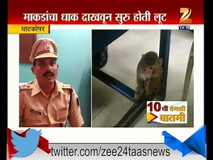 Ghatkopar | Monkeys In Custody From Local Train
