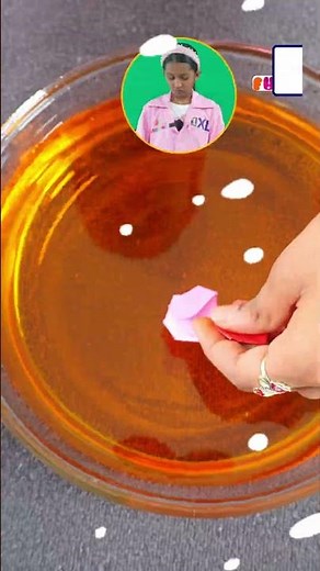 🌸 Watch Paper Flowers BLOOM in Water! | Magical Science Experiment
