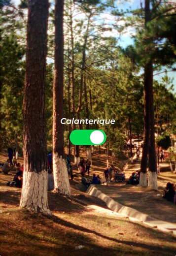 Discover the Beauty of Calanterique in Honduras