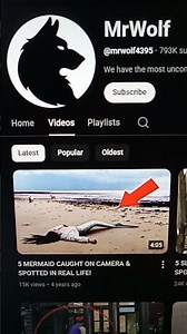 what happened to this youtuber :youtubers that disappeared part 1 mr wolf