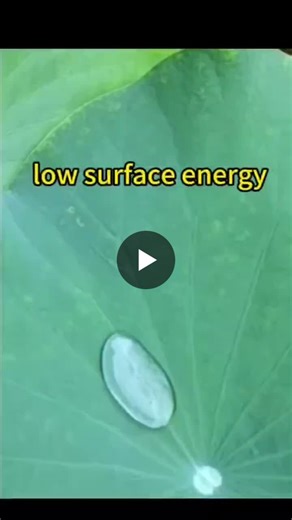 Dyne Level in Label Industry: Importance and Adhesion Requirements | Dana Zhou posted on the topic | LinkedIn