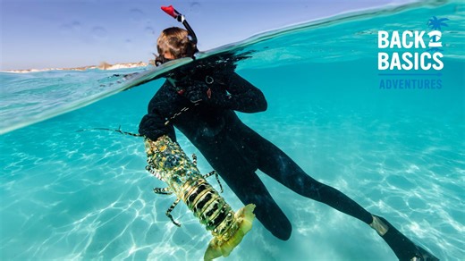 Stranded in crystal waters with sharks hunting nearby