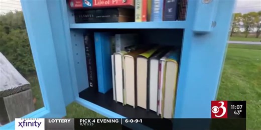 New Little Library opens in Addison to expand rural reading access