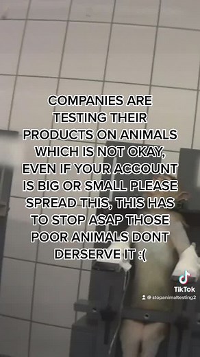 #fypシ #animaltesting #animaltestingneedstostop #animaltestingneedstostop #saveralphrabbit