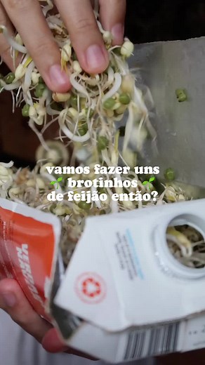 Como Fazer Broto de Feijão Moyashi em Casa
