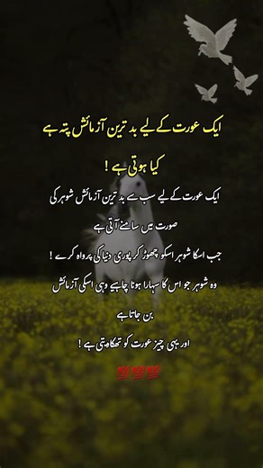 Deep line 🥀💥❤️‍🩹 | Urdu shayari | whatsApp status| #urdupoetry #urdu #1millionaudition​ #asthetic
