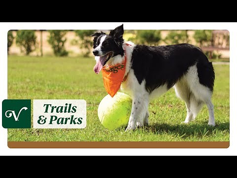Explore Parks & Trails in The Villages®