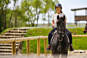 How Often Should I Take Horseback Riding Lessons?