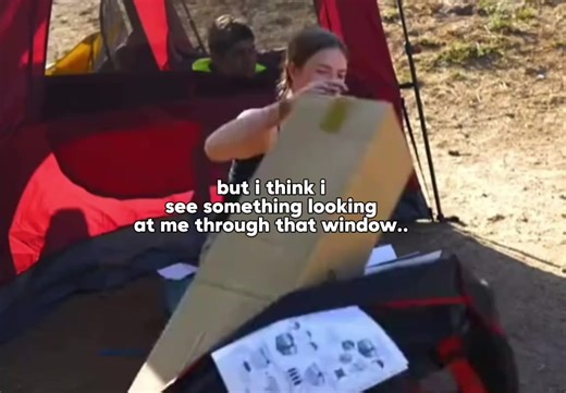 Nidal's Intriguing Glance at Salish Explained