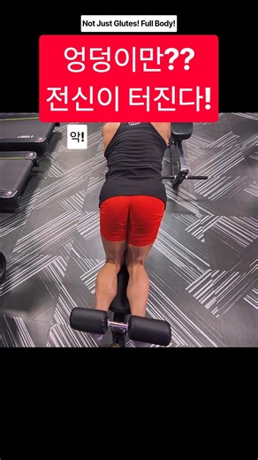 엉덩이·햄스트링·코어·삼두근·광배근까지?! 어시스트 노르딕 컬 하나로 전신 강화!Glutes, Hamstrings, Core, Triceps & Lats?! Full-Body!