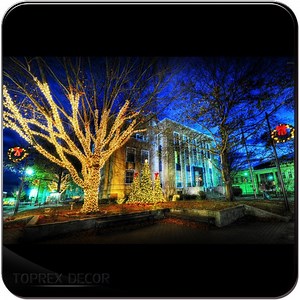 [Hot Item] High Quality Vintage Style Outdoor String Lights