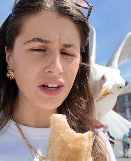 Funny Seagull Encounters: Hilarious Moments Unleashed