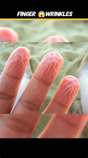 Why Do We Get The Wrinkles 😱 #facts #amazingfacts