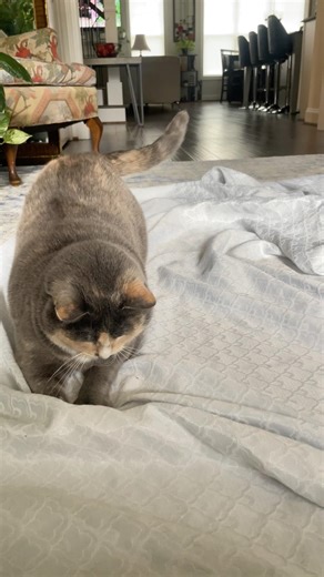 Mind empty, free flying