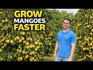 Tropical Acres Farm Tour: Mango Secrets You NEED to Know (Part 2)