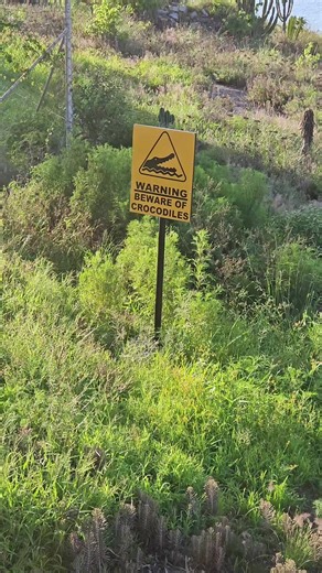 Discover the Beauty of Travel in Zimbabwe