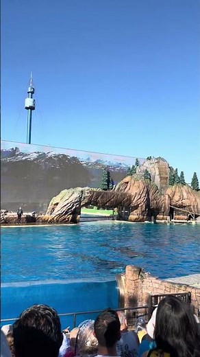 Orca Encounter - SeaWorld San Diego, California 06/2023