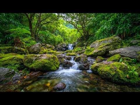 River Flowing Birds Chirping | Natural Forest Sounds for Sleeping, And Relaxation #16