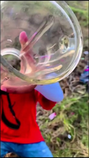 Exploring the Scale Illusion in Photography