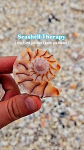 Heal with Seashell ASMR 💙 Enjoy these relaxing beach sounds from a Florida shelling tour ! #shells #beachasmr #collectingseashells #beachcombingtreasures | The Seashell Mermaid