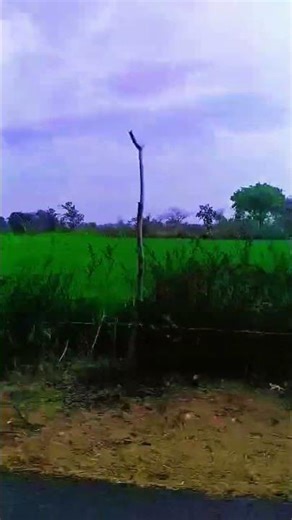 Dil Lagana Mana Tha 😢 #raghvendra2271rk